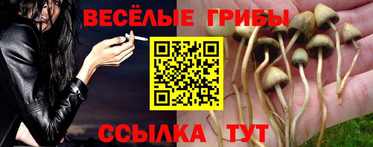 Псилоцибиновые грибы мицелий  Вход с VPN  Галлюциногенные грибы Psilocybine cubensis  Озёрск 